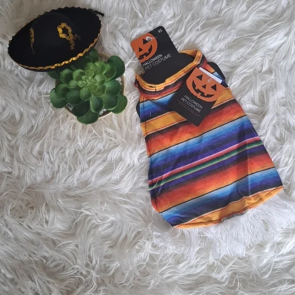 Halloween Pet costume hat with pancho size small - Picture 2 of 7